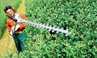 STIHL extended lenght hedge trimmers