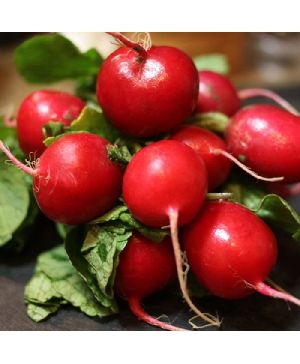 Round Radish Red