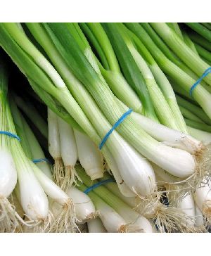 spring onion