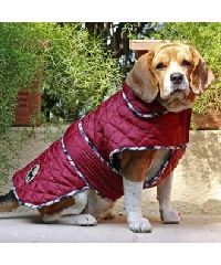 HUFT Grrrberry Dog Jacket