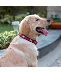 HUFT The London Style Red black Dog Collar