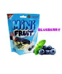 Mini Fruit Blueberry-Dog Chews 130 gms