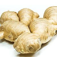 Ginger Oleoresin