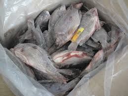 Whole Frozen Tilapia