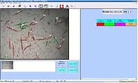 Nematode Analyser