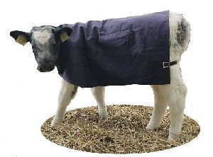 Calf Blankets