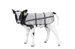 Calf Fleece  Blankets