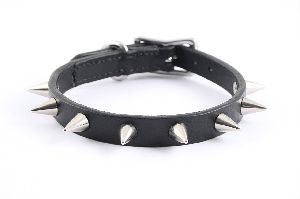 dog collars