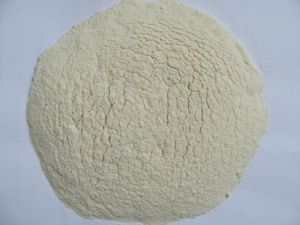 dehydrated garlic powder,  Packaging Size : 25Kg