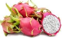 dragon fruit