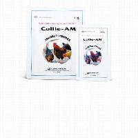 Collie-AM Antibiotics