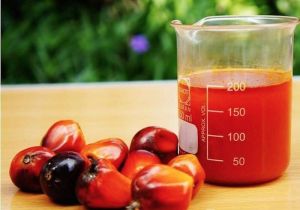 Crude Palm Oil,  Purity : 100%