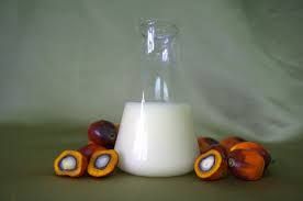 Palm Stearin Oil