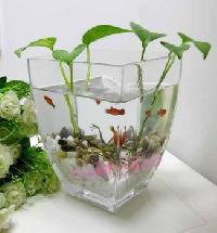 Glass flower pot