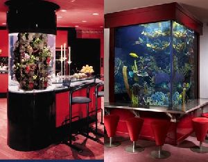 Fish Aquarium Customization Services