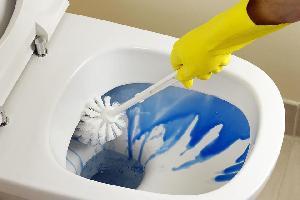 Housekeeping & Cleaning Services