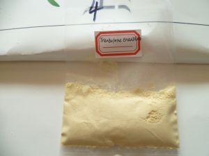 CAS No: 315-37-7 Testosterone Enthanoate