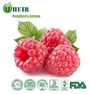 Best Price Rasberry Extract Raspberry Ketone 98% 99%