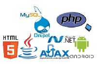 Software Development Service