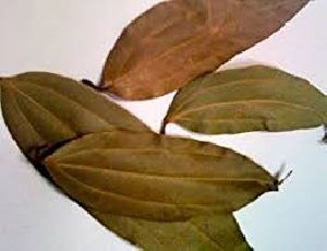 Bay Leaves