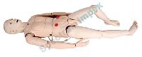 VEIN INJECTION ARM Model