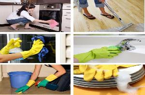 Hygiene Cleaning and Support Services