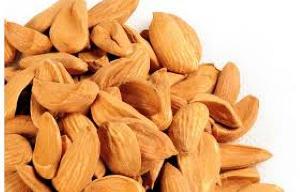 Mamra Almonds