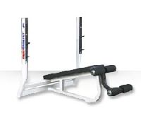 Decline Dumbbell Bench