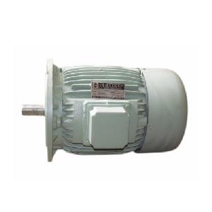 AC Electric Motor