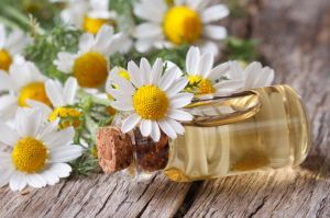 Chamomile Oil