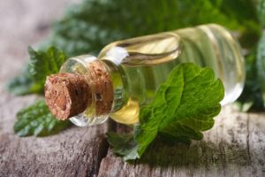 Ayurvedic & Herbal Oil
