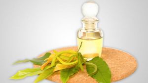 Ylang Ylang Oil