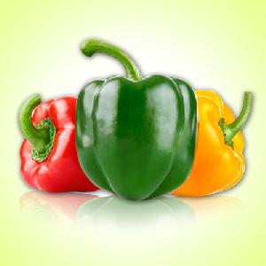 Fresh, Organic & Preserved Vegetables