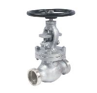 SS Socket Weld Globe Valve