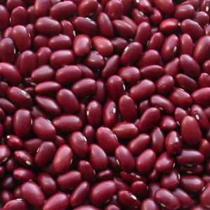 Organic Red Kidyned Bean,White Kidney Beans