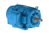 W22 IEEE 841 electric motor