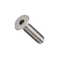 SS 304 CTSK Screw