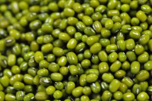 Grade A Green Mung Bean