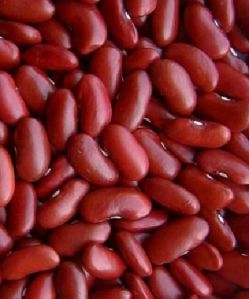 Red Kidney Bean