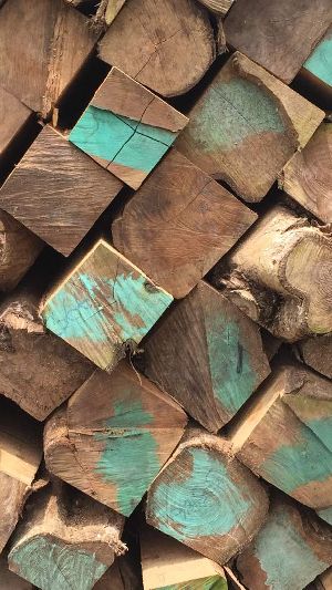 Benin Teak Wood Square Logs