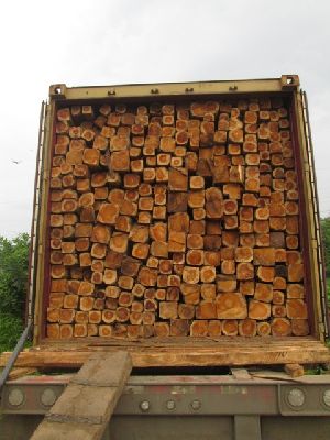 Ecuador Teak Wood Square Logs