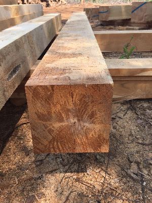 Indonesian Teak Wood Square Logs