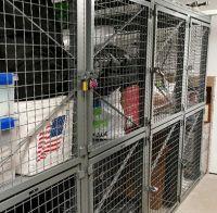 Wire Mesh Storage Lockers