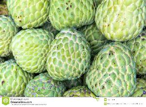 Custard Apple