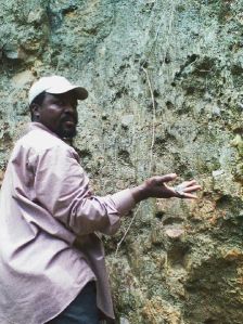 Copper Ore Vein Copper Ore Vein