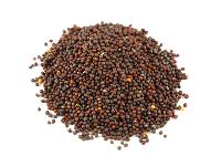 Mustard Seeds (Sarso)