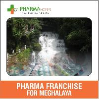 pharma franchise services
