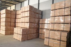 Silver Birch Hardwood