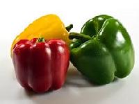 fresh capsicum