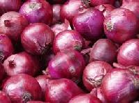 fresh onion